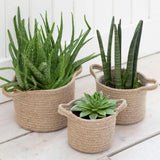 Set of Three Jute Woven Plant Pots