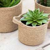 Set of Three Jute Woven Plant Pots