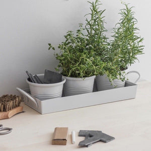 Set of Three Pots On A Tray From Garden Trading