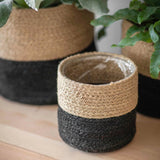 Set of Three Jute Striped Pots From Garden Trading