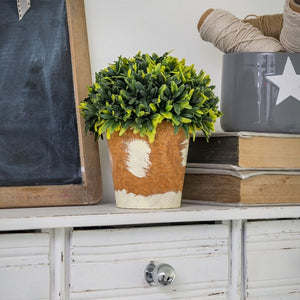 Potted Faux Bush In Terracotta Style Pot