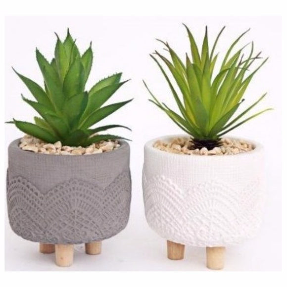 Set of Two Grey and White Macrame Succulents